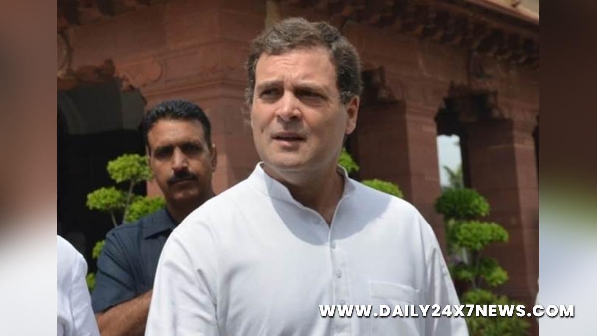 Rahul Gandhi, Indian National Congress, Congress, All India Congress Committee