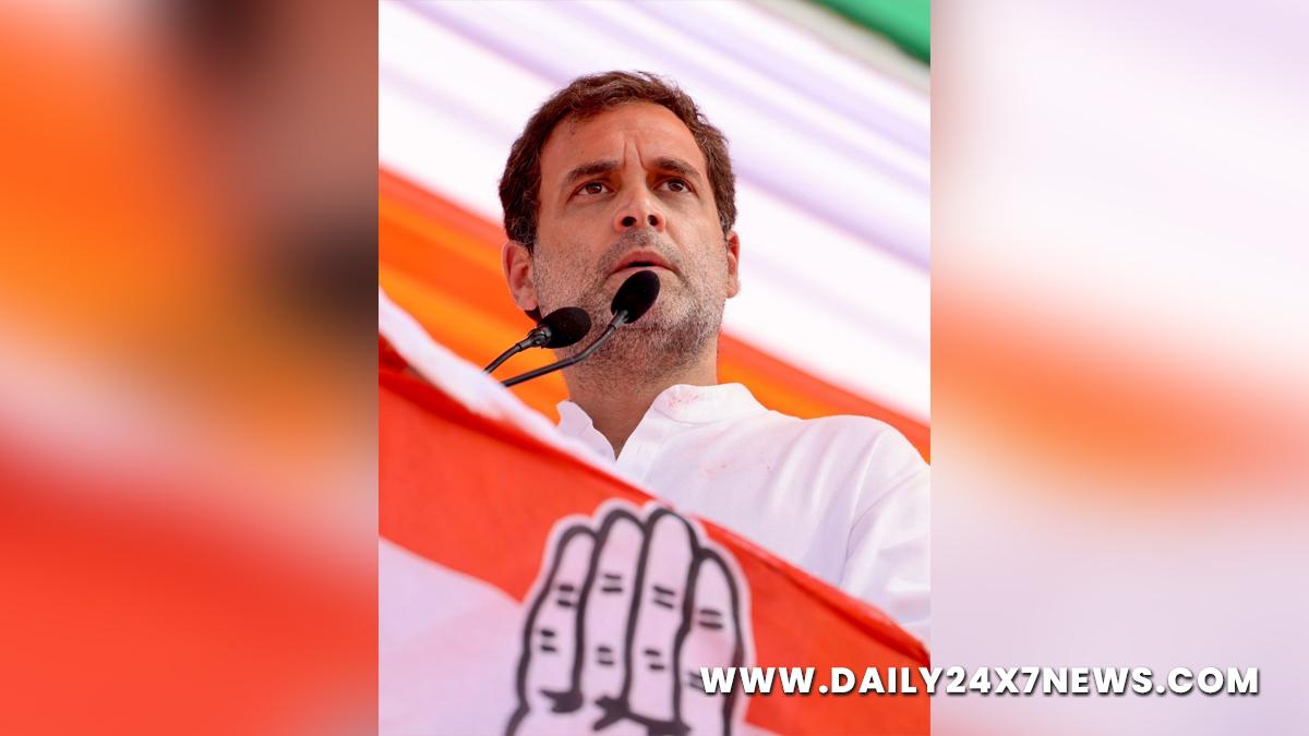 Rahul Gandhi, Indian National Congress, Congress, All India Congress Committee