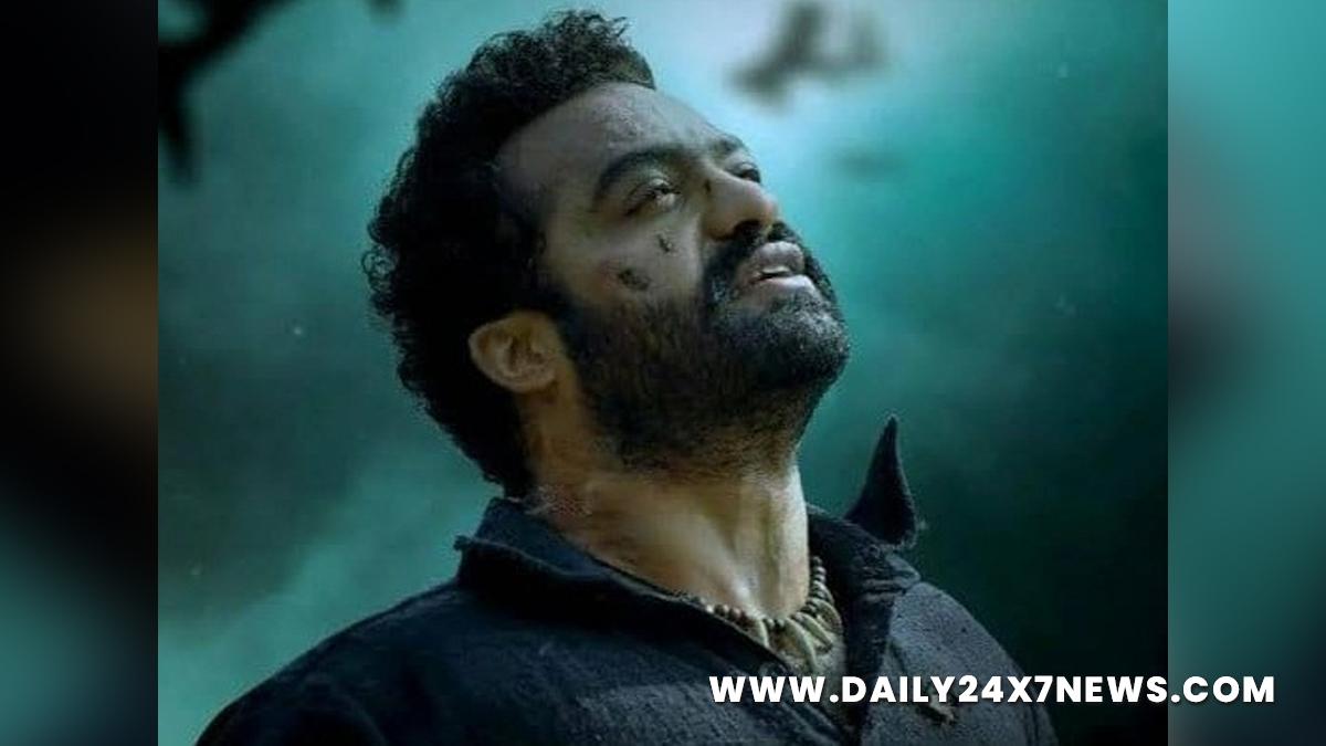 Tollywood, Entertainment, Actor, Actress, Cinema, Movie, Telugu Films, Jr NTR