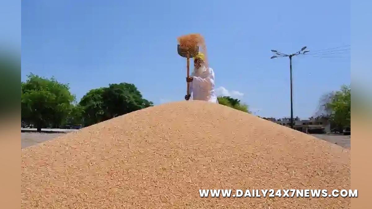 Agriculture, Chandigarh, Punjab, Minimum Support Price, Cash Credit Limit