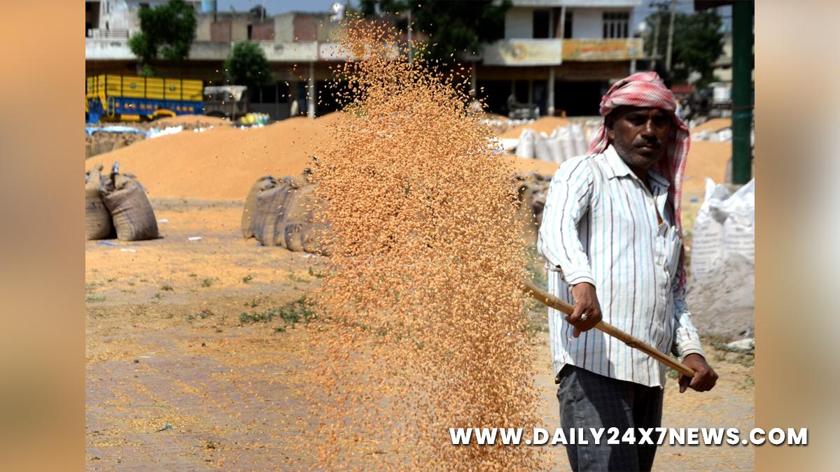 Khas Khabar, India, New Delhi, Wheat, MSP, Wheat Procurement, Punjab, Haryana