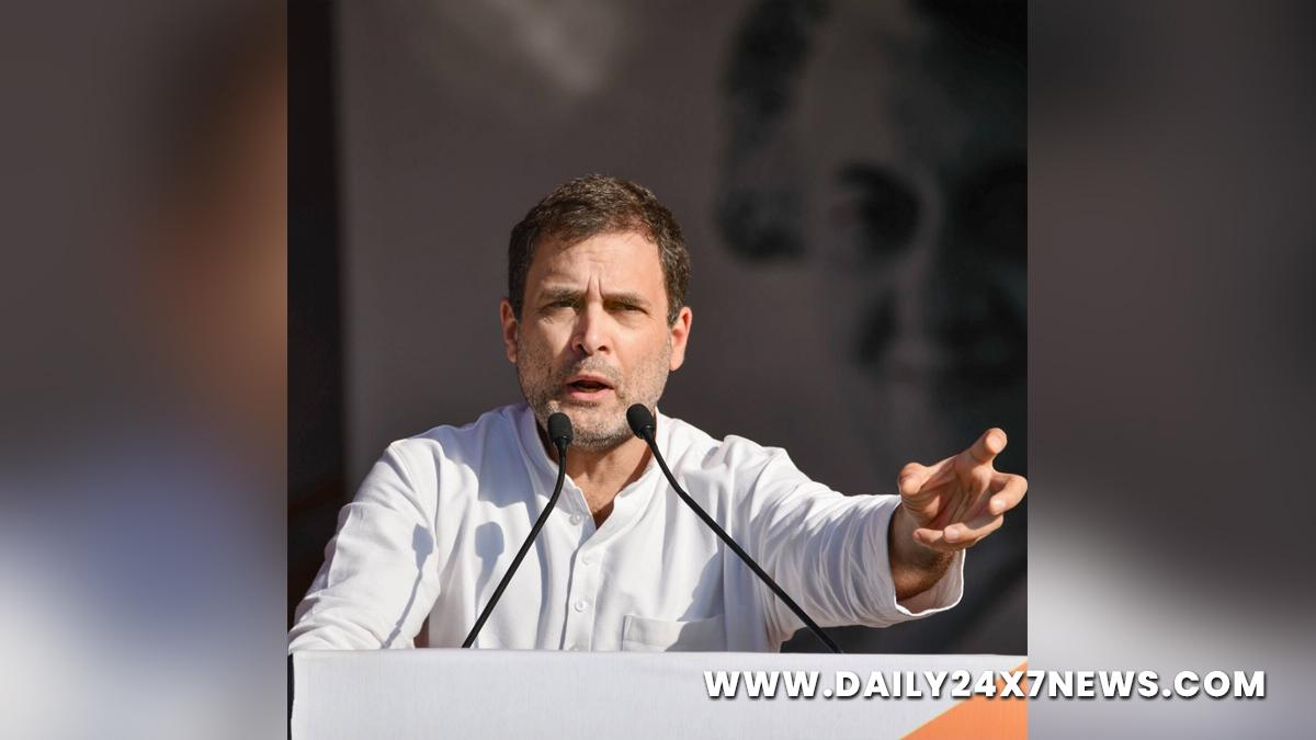 Rahul Gandhi, Indian National Congress, Congress, All India Congress Committee