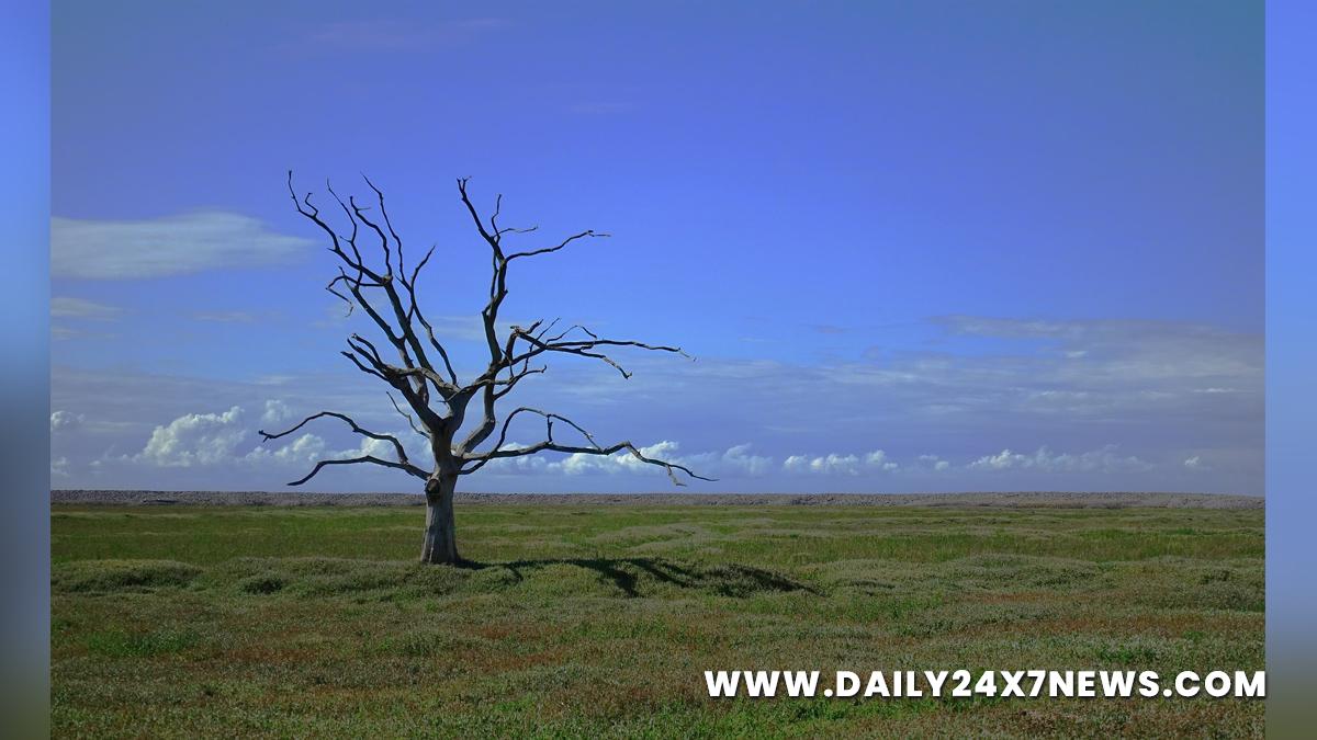 Health, Study, London, Research, Researchers, World News, Meat Consumption, Climate Change, Heat Stroke