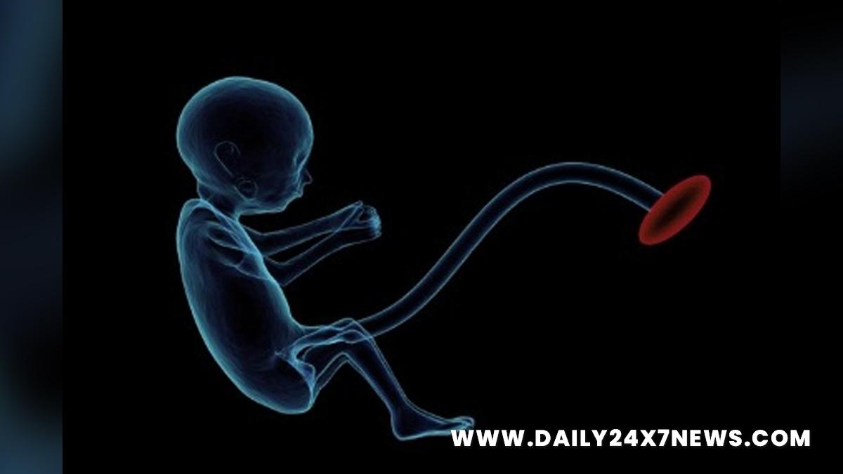 Health, Study, New York, Research, Researchers, World News, Inhaled Nanoparticles, Placenta, Foetus