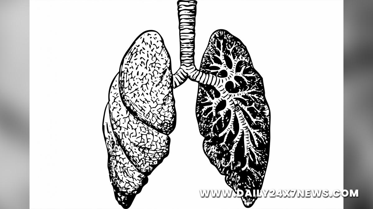Health, Study, London, Research, Researchers, World News, Lungs