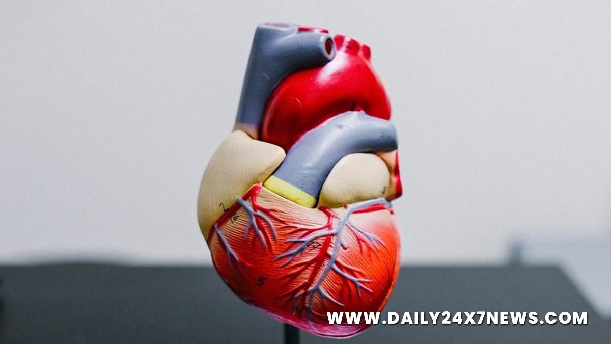 Health, Study, New York, Research, Researchers, World News