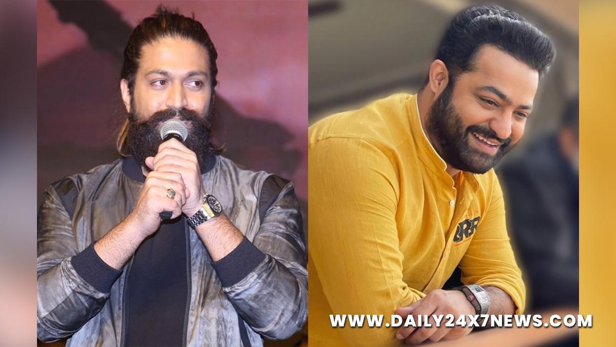 Sandalwood, Entertainment, Actor, Actress, Cinema, Movie, Heroine, Yash, KGF2