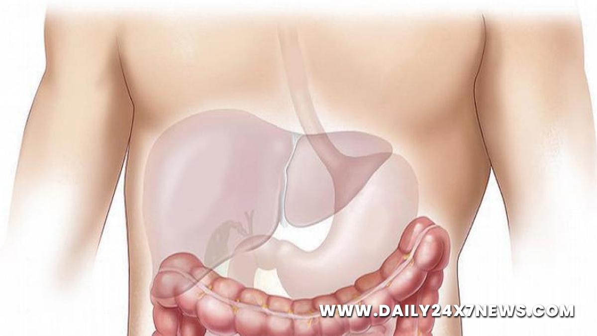 Health, Study, New York, Research, Researchers, World News, Nonalcoholic Fatty Liver Disease