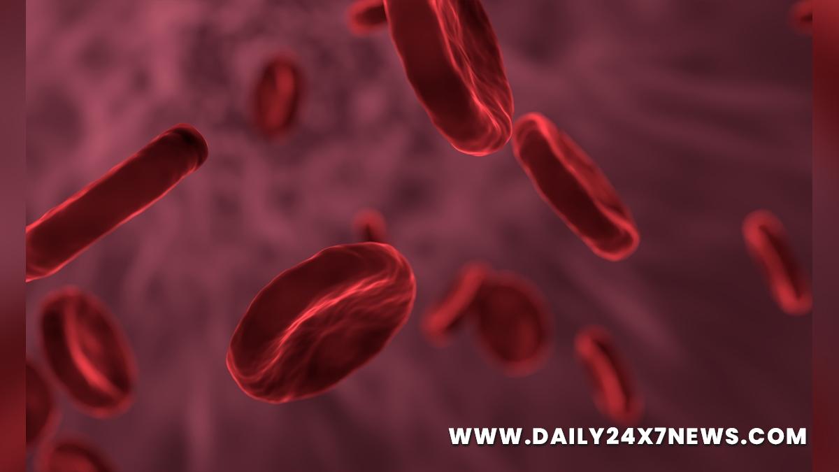 Health, Study, New Delhi, Research, Researchers, Blood Disorder