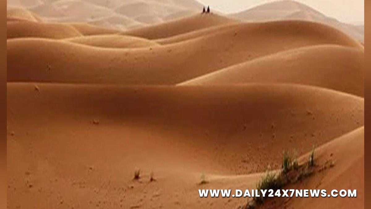 Khas Khabar, India, New Delhi, Sand, United Nations Environment Programme