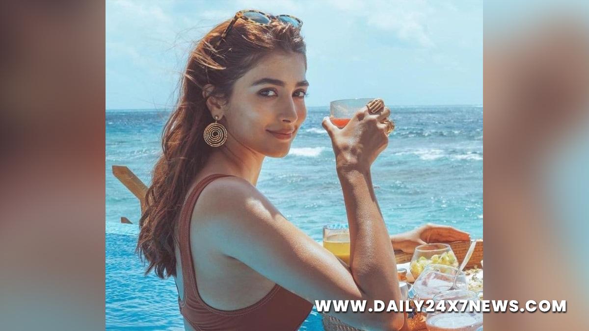 Pooja Hegde, Tollywood, Entertainment, Actor, Actress, Cinema, Movie, Telugu Films