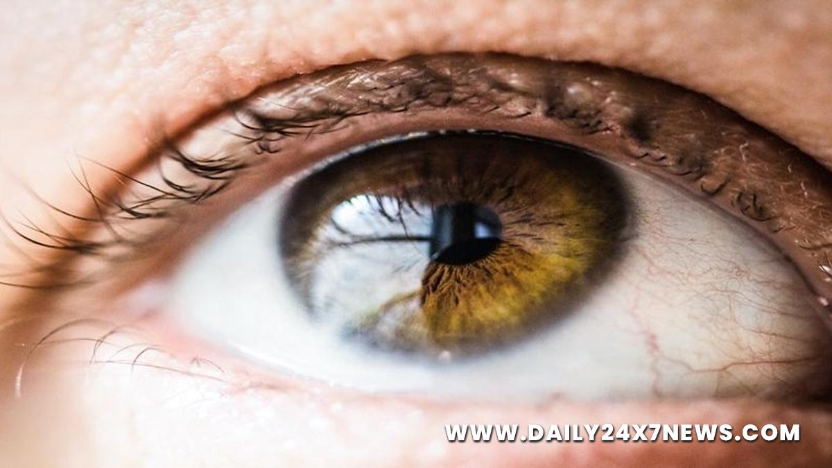 Health, Study, New Delhi, Research, Researchers, Age Related Macular Degeneration