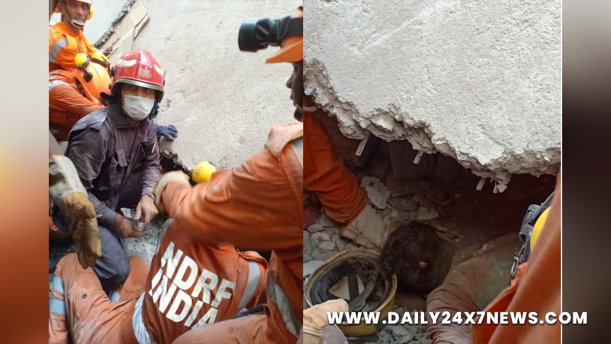 Hadsa, Delhi Fire Services, Fire Department, Collapse, House Collapse