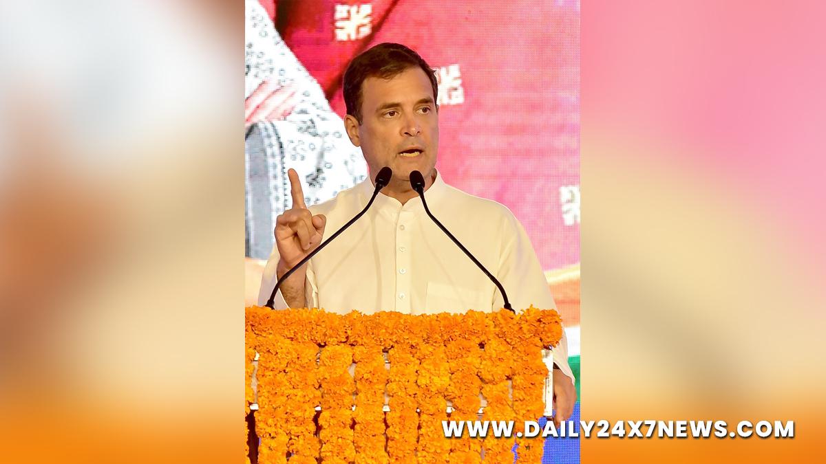 Rahul Gandhi, Indian National Congress, Congress, All India Congress Committee