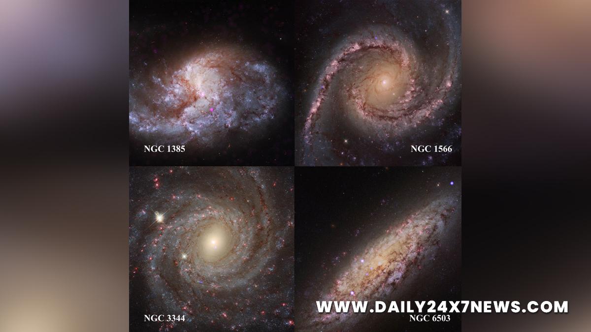 NASA, National Aeronautics and Space Administration, New York