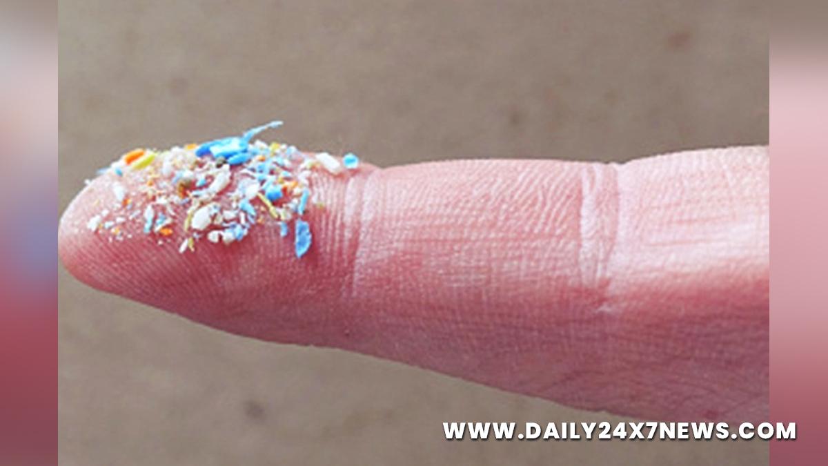 Health, Study, New York, Research, Researchers, World News, Microplastics