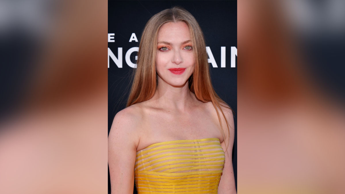 Hollywood, Los Angeles, Actress, Actor, Cinema, Movie, Amanda Seyfried