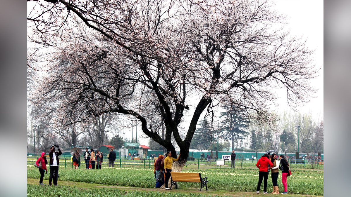 Weather, Srinagar, Kashmir, Jammu And Kashmir, Jammu & Kashmir, Indian Meterological Department, IMD