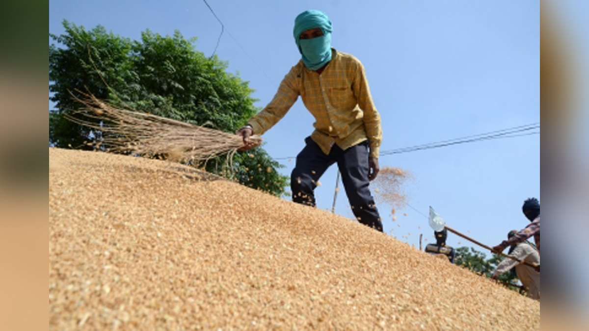 Khas Khabar, New Delhi, Central Government, Ban, Wheat, Wheat Export, Letter of Credit