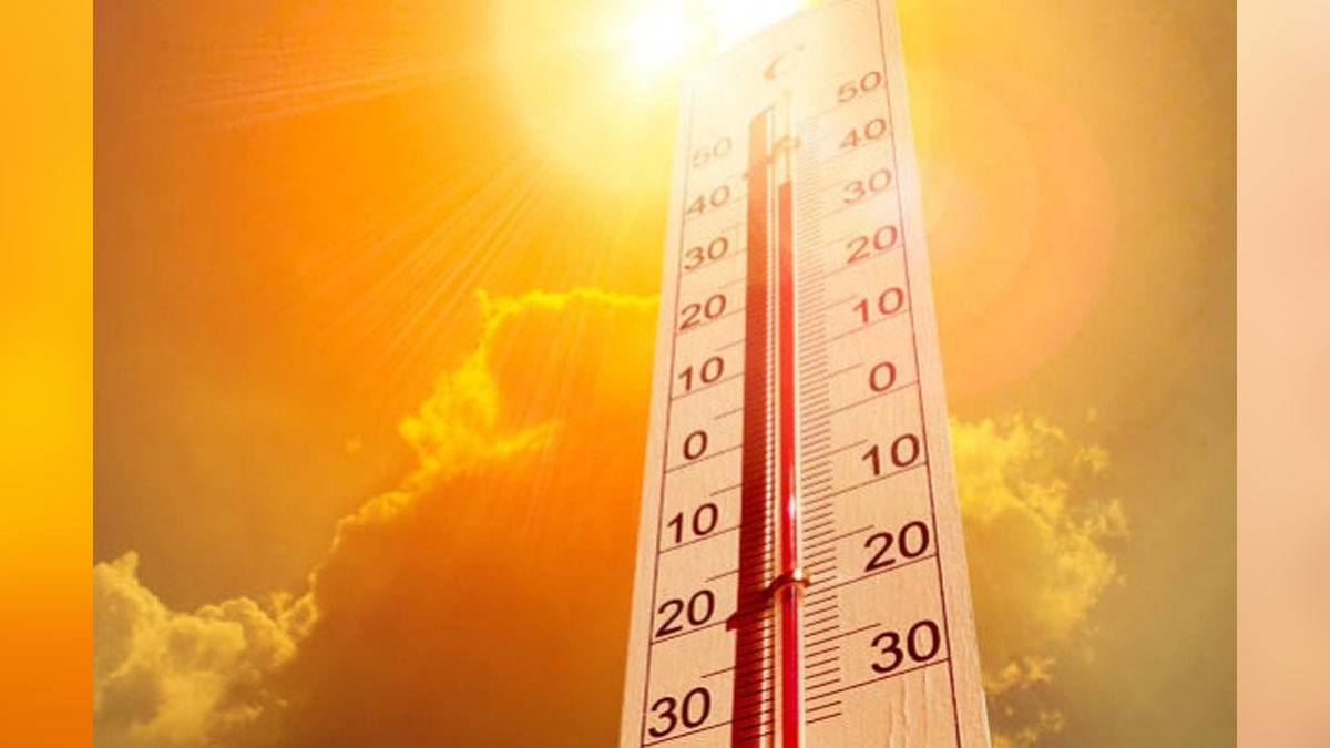 Weather, Indian Meterological Department, IMD, Texas, Houston, Heat Wave, Energy Reliability Council Of Texas, ERCOT