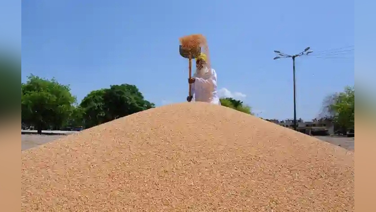 Khas Khabar, Punjab, Chandigarh, Wheat, World Food Program, WFP