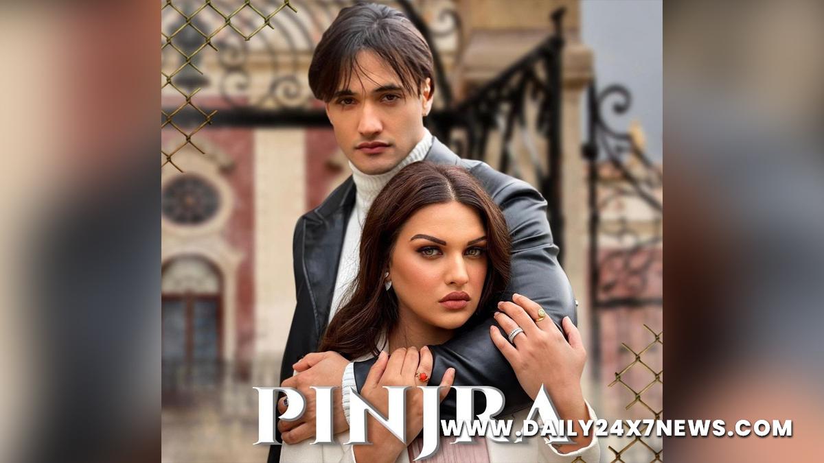 TV, Television, Entertainment, Mumbai, Actor, Actress, Mumbai News, Asim Riaz, Himanshi Khurana, Music, Singer, PINJRA, charanmusic