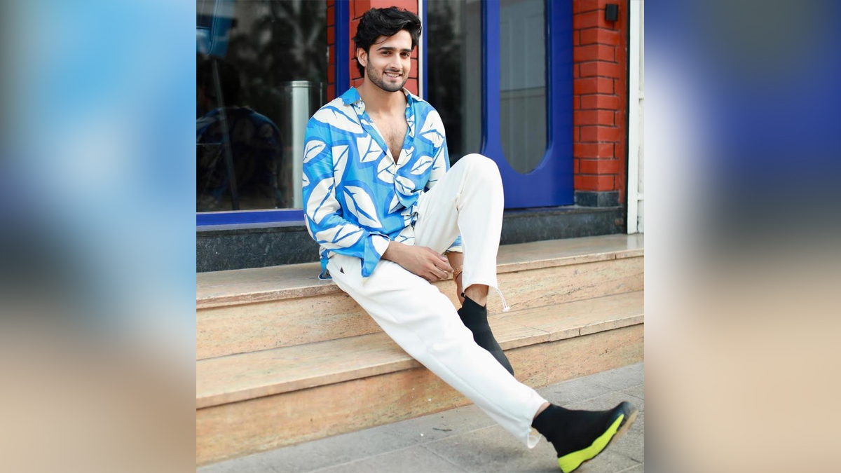 TV, Television, Entertainment, Mumbai, Actor, Actress, Mumbai News, Farman Haider