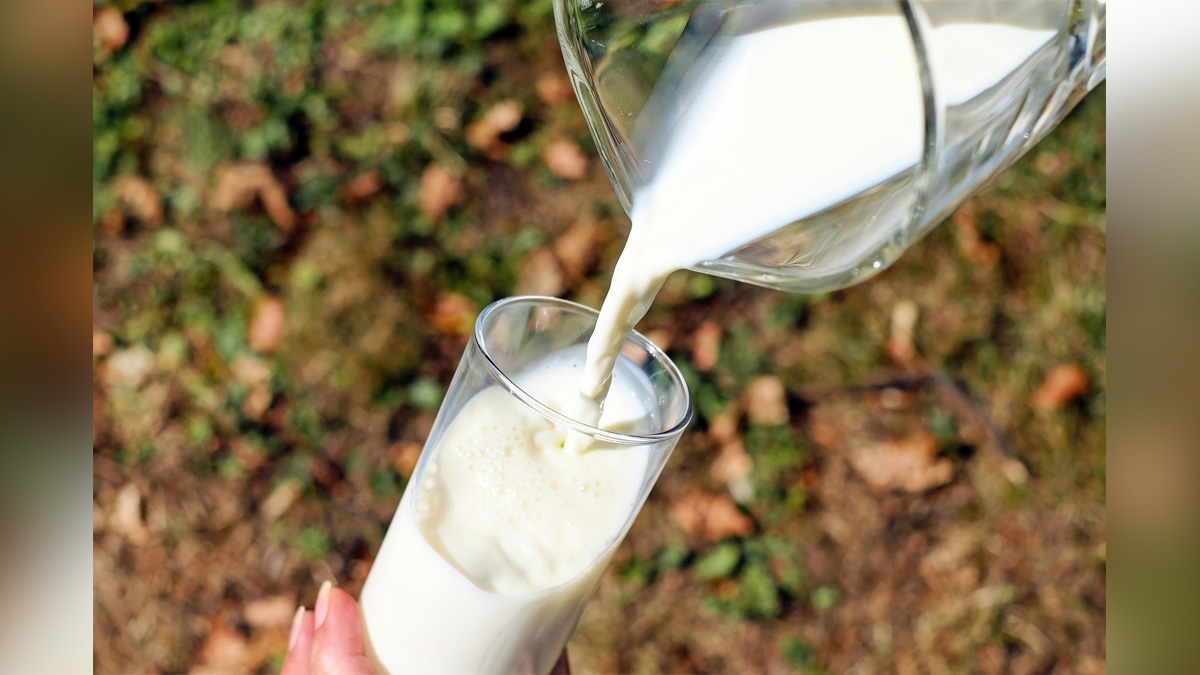 Khas Khabar, Chandigarh, Milk, Verka Milk, Punjab State Cooperative Milk Producers Federation Ltd