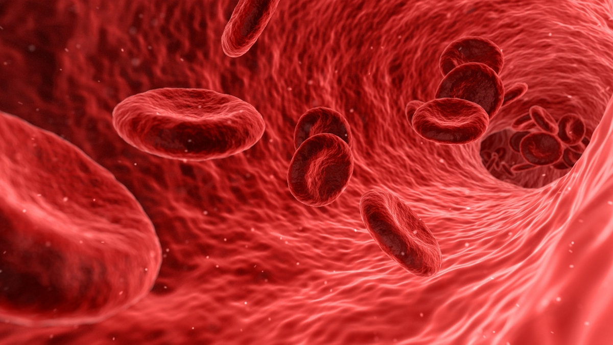 Health, Study, London, Research, Researchers, World News, University of Oxford, Devanthro, Cells On Moving Robot