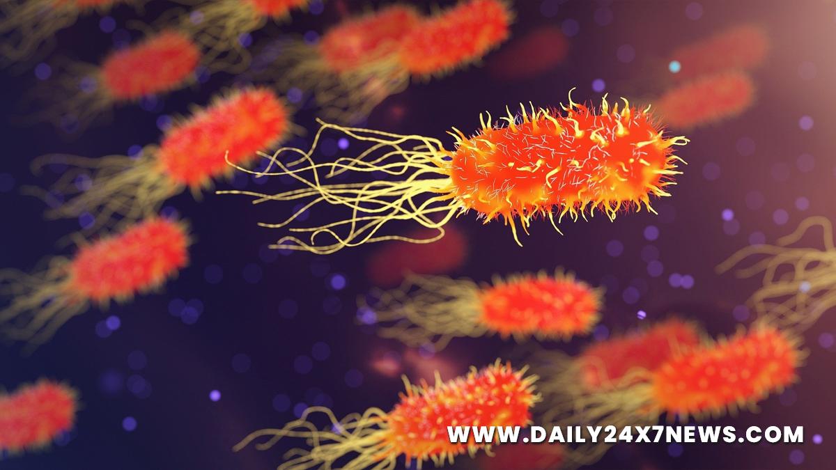 Research, Study, London, Researchers, World News, Bacteria