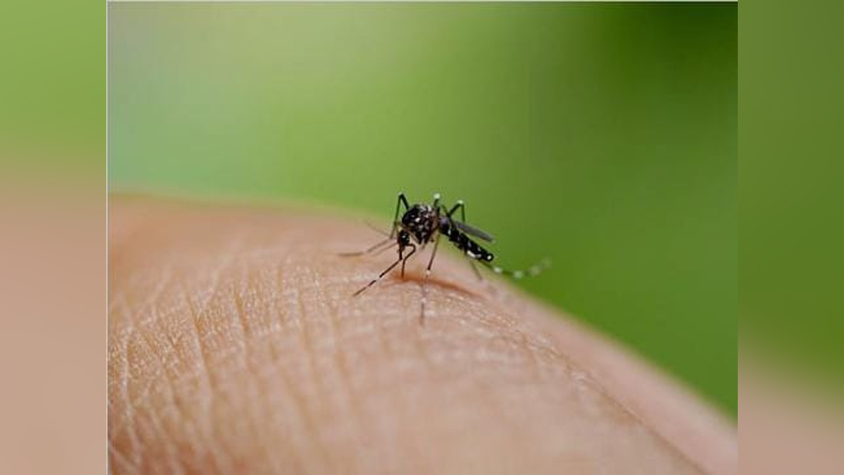 Health, Study, Uttar Pradesh, Rising Dengue Cases, Dengue