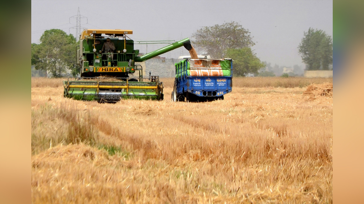 Khas Khabar, Punjab, Chandigarh, Wheat