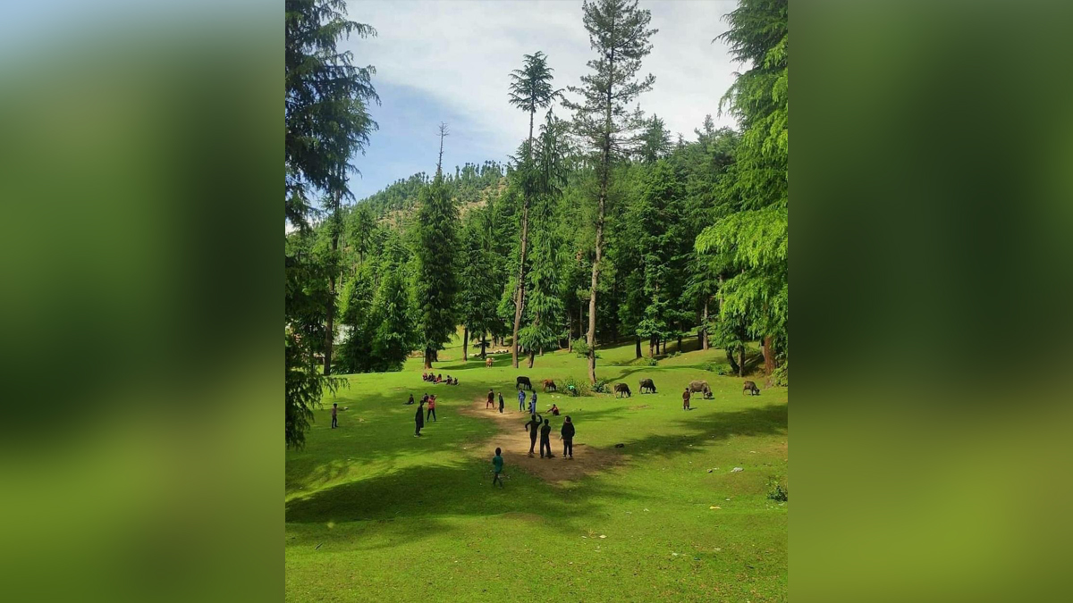 Weather, Srinagar, Kashmir, Jammu And Kashmir, Jammu & Kashmir, Indian Meterological Department, IMD