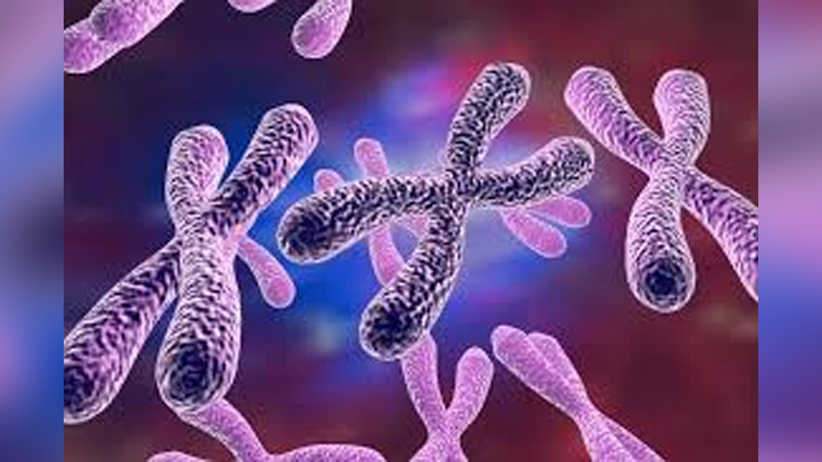 Health, Study, London, Research, Researchers, World News, Sex Chromosome