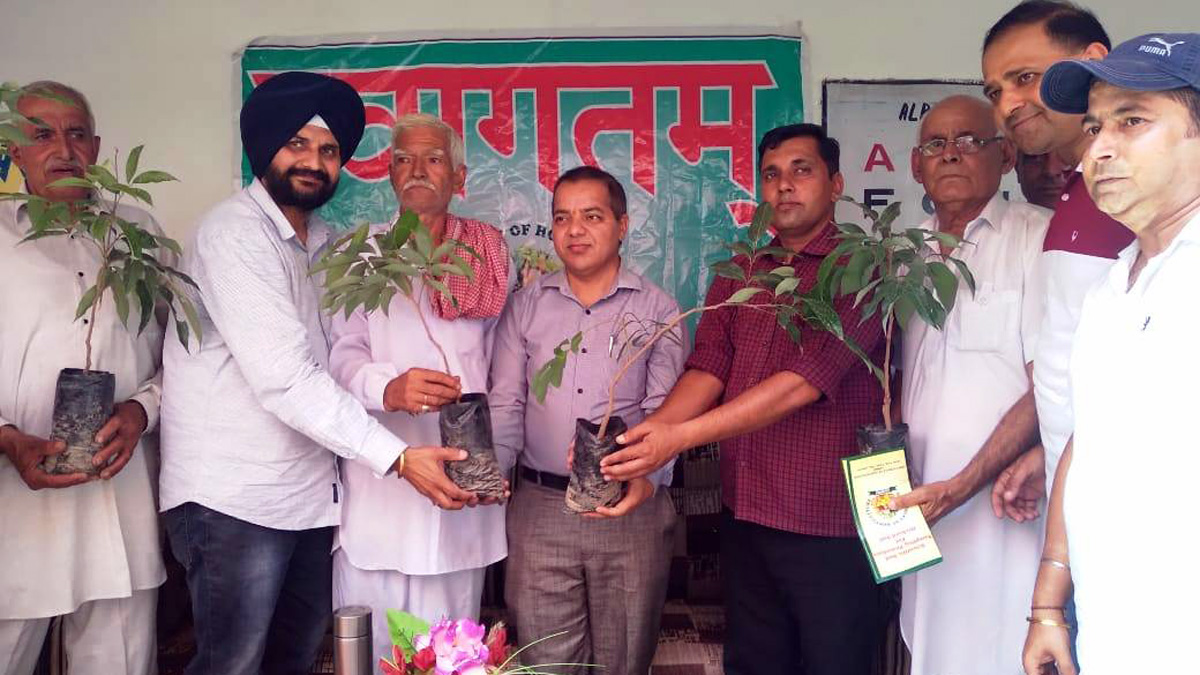 Horticulture, Horticulture Department, Ajaz Ahmad Bhat, Horticulture Department Kashmir, Jammu, Kashmir, Jammu And Kashmir, Jammu & Kashmir