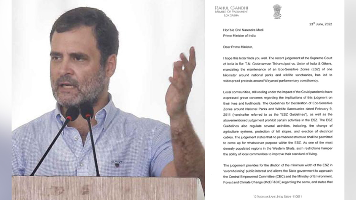 Rahul Gandhi, Indian National Congress, Congress, All India Congress Committee, Prime Minister Narendra Modi