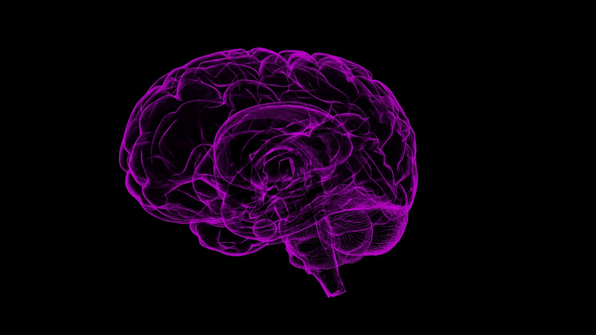 Health, Study, New York, Research, Researchers, World News