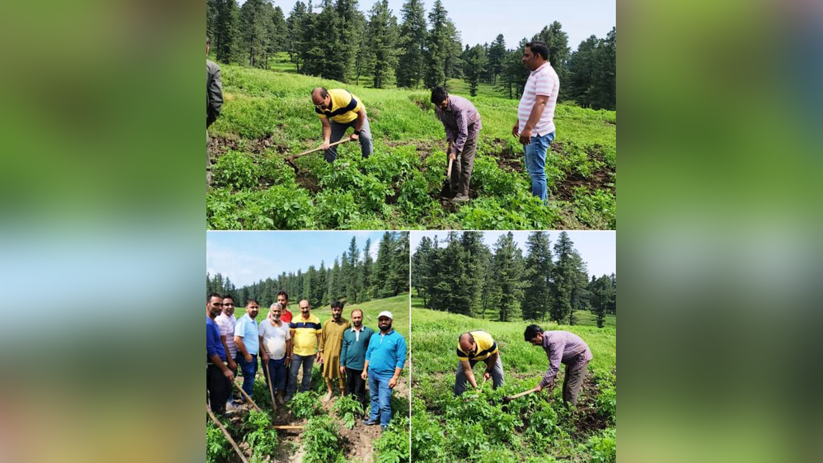 Agriculture, Director Agriculture Kashmir, Chowdhary Mohammad Iqbal, Srinagar, Kashmir, Jammu And Kashmir, Jammu & Kashmir, Kashmir Valley