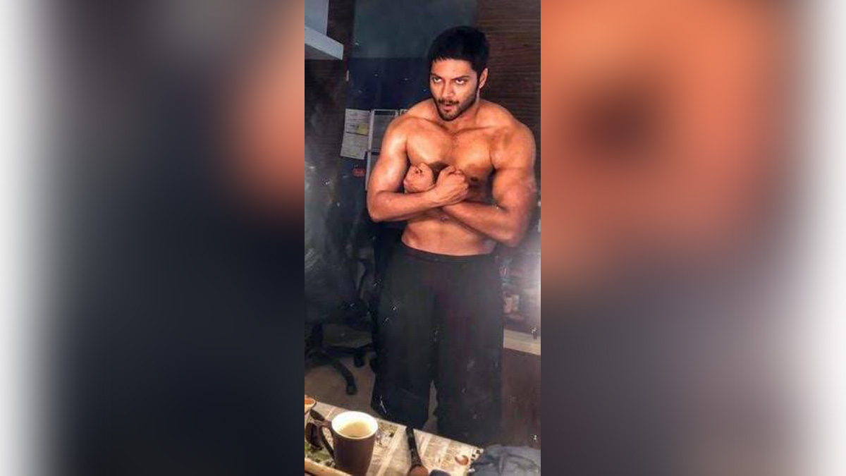 Web Series, Entertainment, Mumbai, Actress, Actor, Mumbai News, Mirzapur 3, Ali Fazal