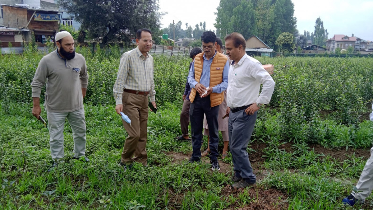 Horticulture, Horticulture Department, G.R. Mir, Horticulture Department Kashmir, Jammu, Kashmir, Jammu And Kashmir, Jammu & Kashmir