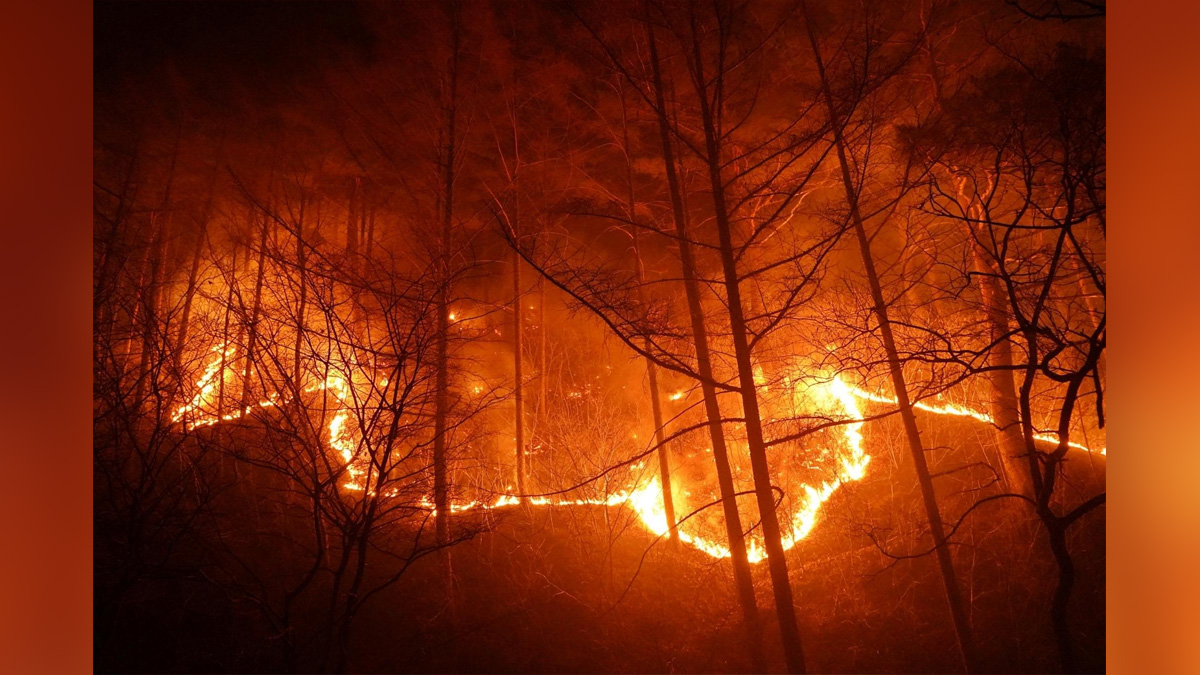 Hadsa World, Hadsa, California, US, Explosive Wildfire, Yosemite National Park