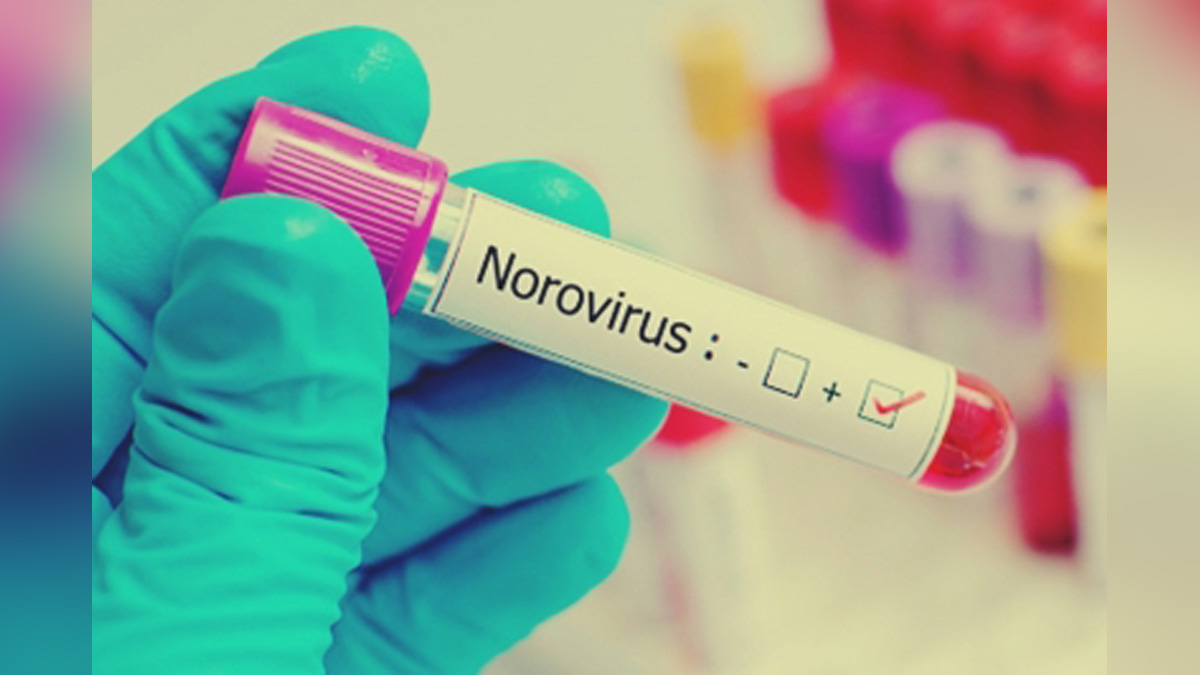 Health, Study, New York, Research, Researchers, World News, National Institutes Of Health, NIH