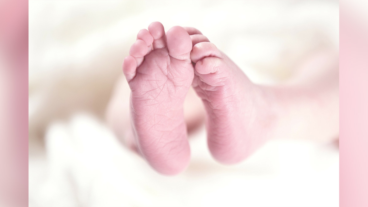 Health, Monkeypox Virus, Monkeypox, Health, Study, Research, Researches, Symptoms Monkeypox Virus, MonkeyPox Disease, Monkeypox Symptoms, MonkeyPox Cures