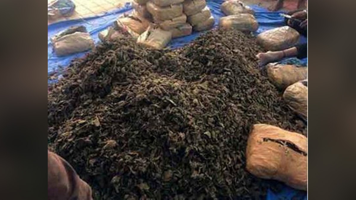 Crime News India, Crime News, Odisha, Narcotics Drugs and Psychotropic Substances, NDPS, Special Task Force, STF, Ganja Smugglers