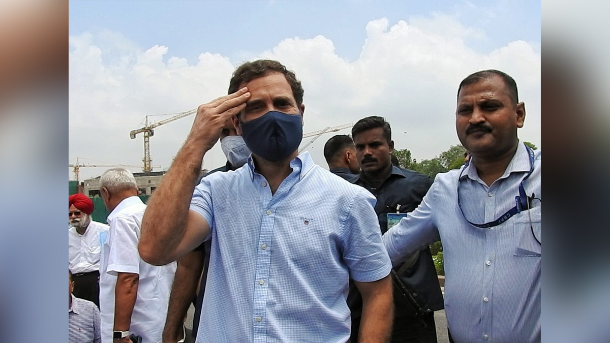 Rahul Gandhi, Indian National Congress, Congress, All India Congress Committee