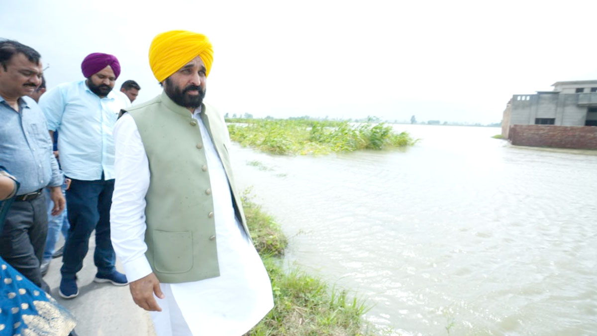 Bhagwant Mann, AAP, Aam Aadmi Party, Aam Aadmi Party Punjab, AAP Punjab, Government of Punjab, Punjab Government, Punjab, Chief Minister Of Punjab, Dr Baljeet Kaur, Jagdeep Kamboj, Narinder Pal Singh, Gurmeet Singh Khuddian, Jagdeep Singh Kaka Brar