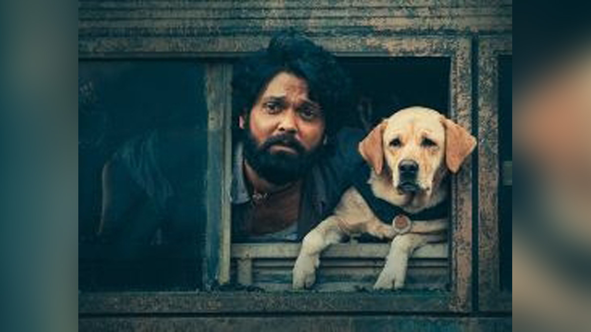 Tollywood, Entertainment, Actor, Actress, Cinema, Movie, Telugu Films, 777 Charlie