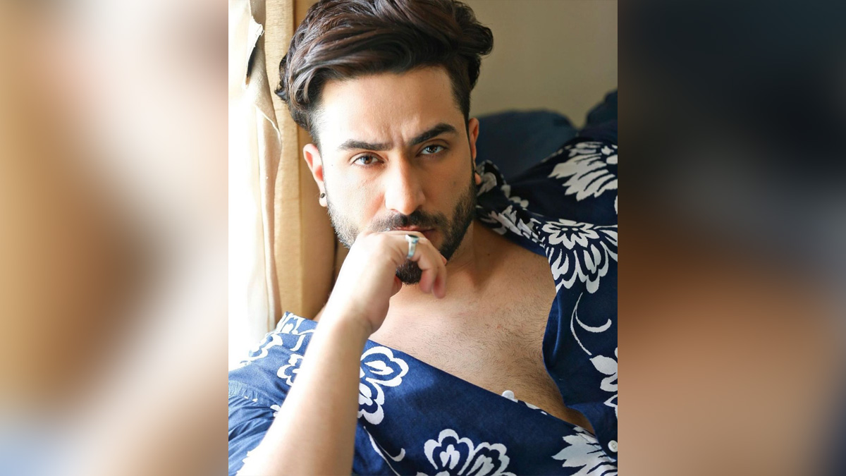 TV, Television, Entertainment, Mumbai, Actor, Actress, Mumbai News, Aly Goni