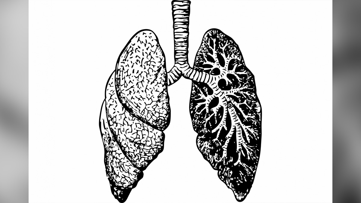 Health, Study, New York, Research, Researchers, World News