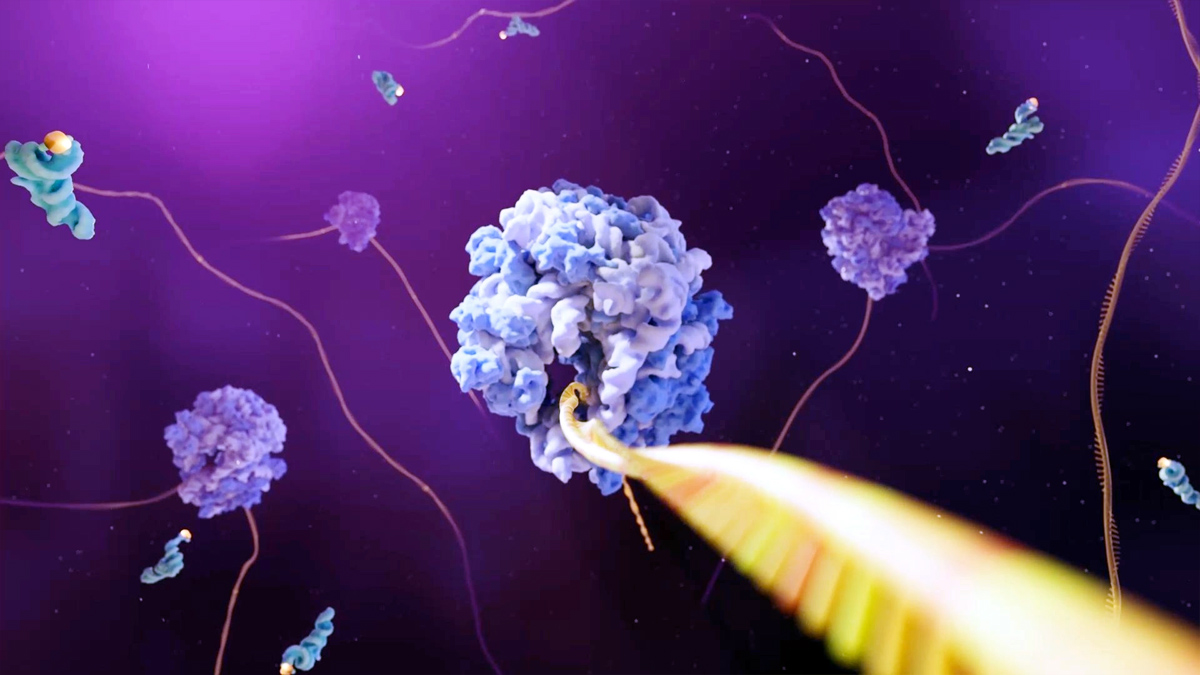 Omicron Variant, Coronavirus, COVID-19, Novel Coronavirus, Delta Plus Covid variant, Delta Covid-19 variant, Fight Against Corona, Covid-19 Vaccine, Oxygen, Oxygen Cylinders, SARS-CoV-2, Oxygen Plants, Oxygen Concentrator, Jammu, Kashmir, Jammu And Kashmir, Jammu & Kashmir, Oxygen supply, Oximeter